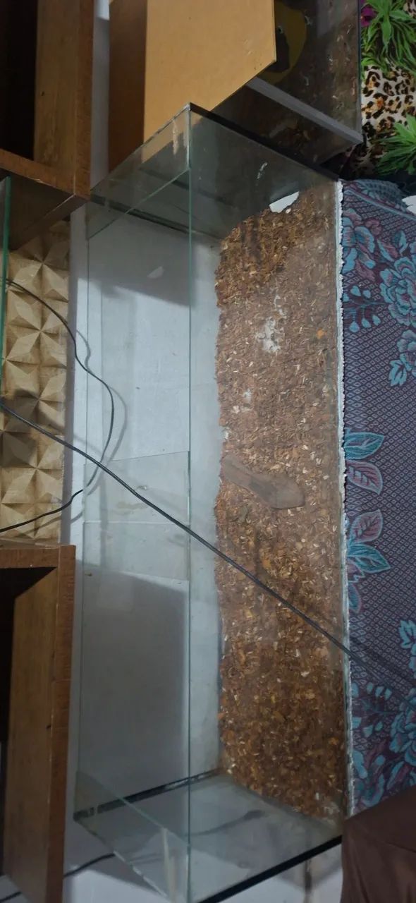 Vendo terrario para hamister de 1metro por 30 - Foto 3