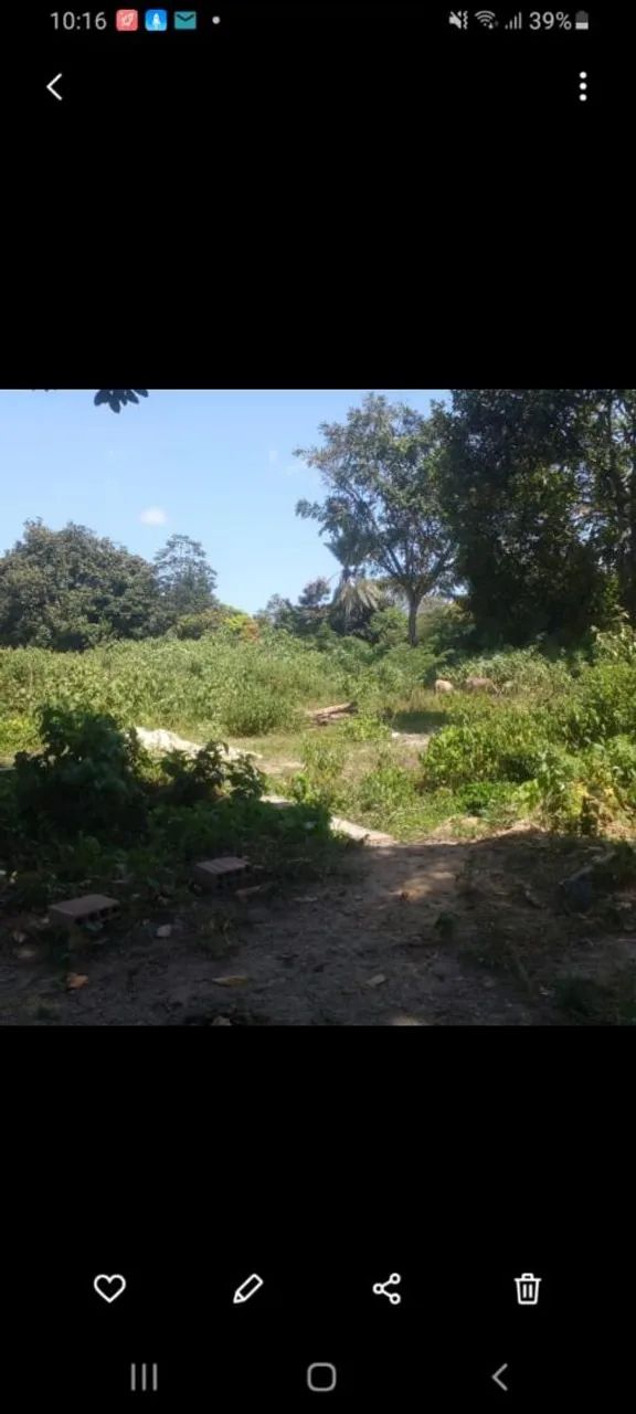 Terreno barato, 40.00 mil dá para conversar, áceito troca, valor negociável, dividimos. - Foto 2