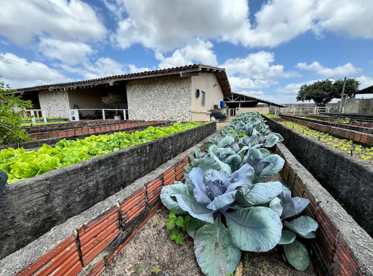 FAZENDA REAL IV PAGAMENTO FACILITADO - Foto 6