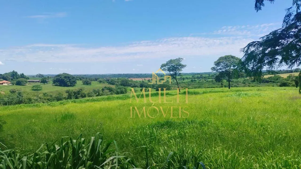 Fazenda à venda, 57 alqueires por R$ 10.260.000 - Zona Rural - Santo Antônio do Aracanguá/