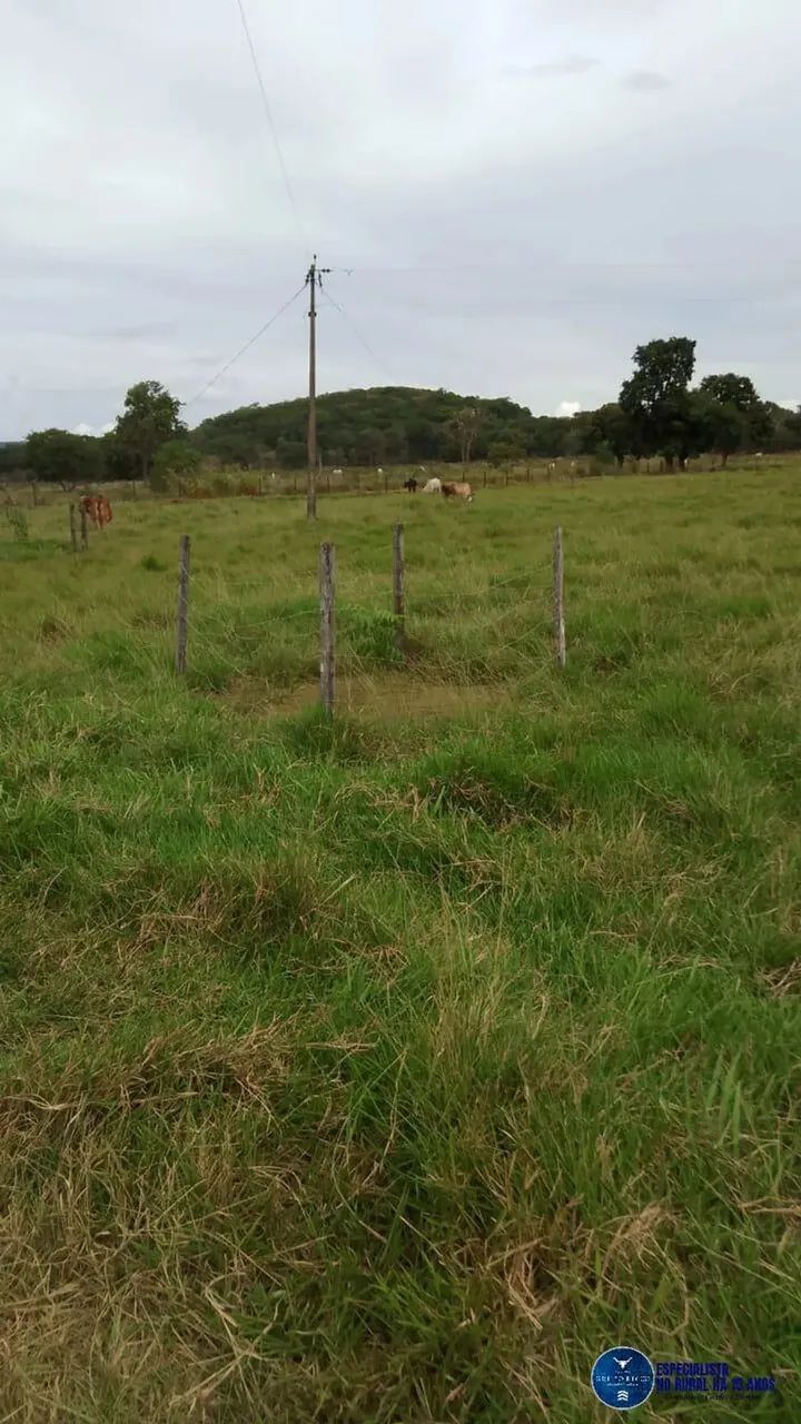 Chácara em Mairipotaba, Goiás com 5 alqueires - Foto 5