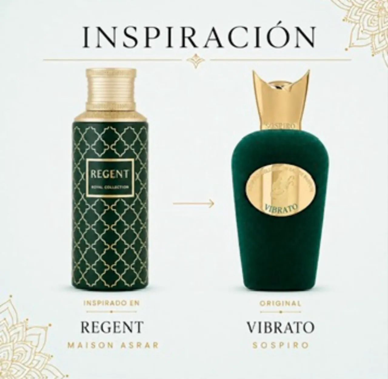 PERFUMES MAISON ASRAR REGENT  - Foto 4