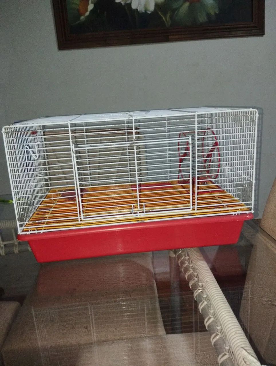 Gaiola Ramister  - Foto 2