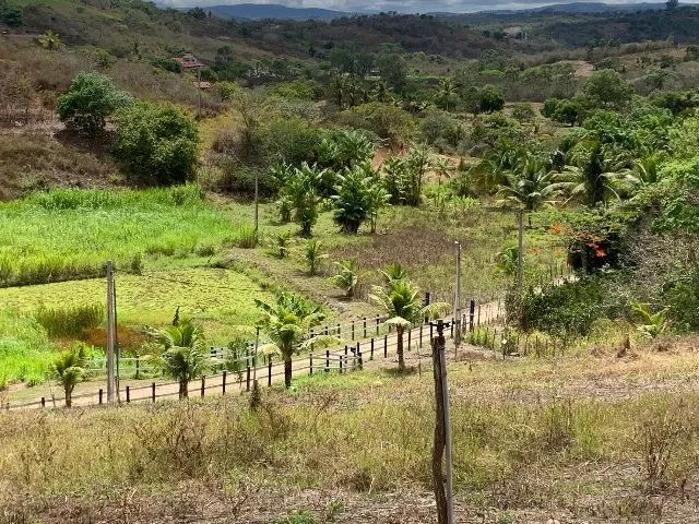 Haras em Gravatá com 5,5 ha.  - Foto 6