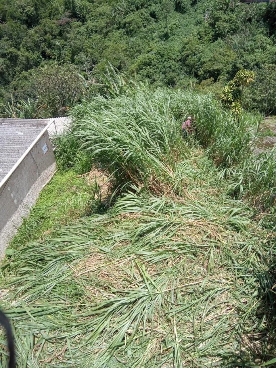 Terreno beira de rua Quitandinha  - Foto 3