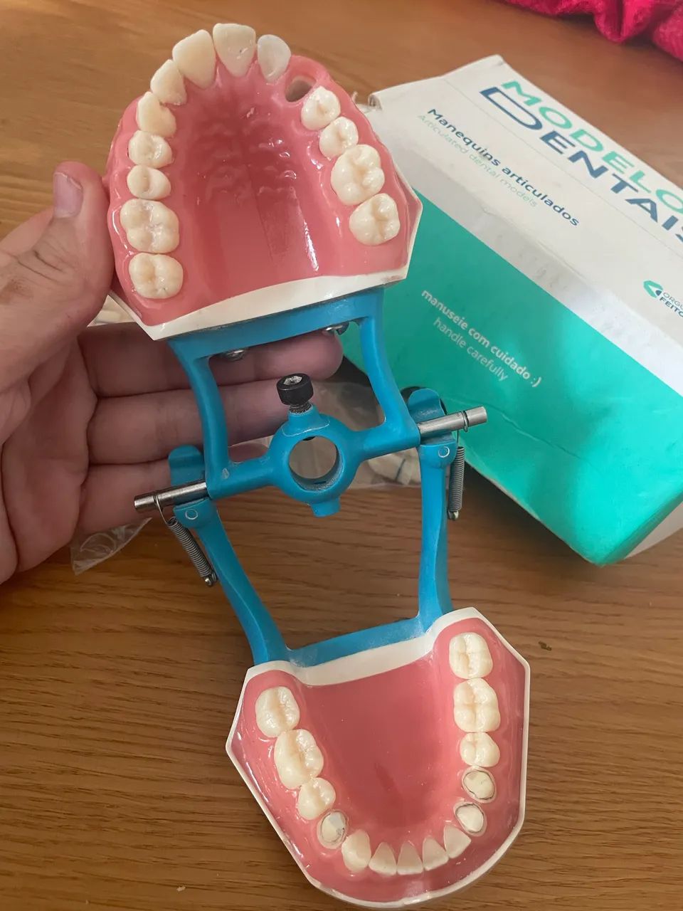 Manequim articulado P oclusal  - Foto 2
