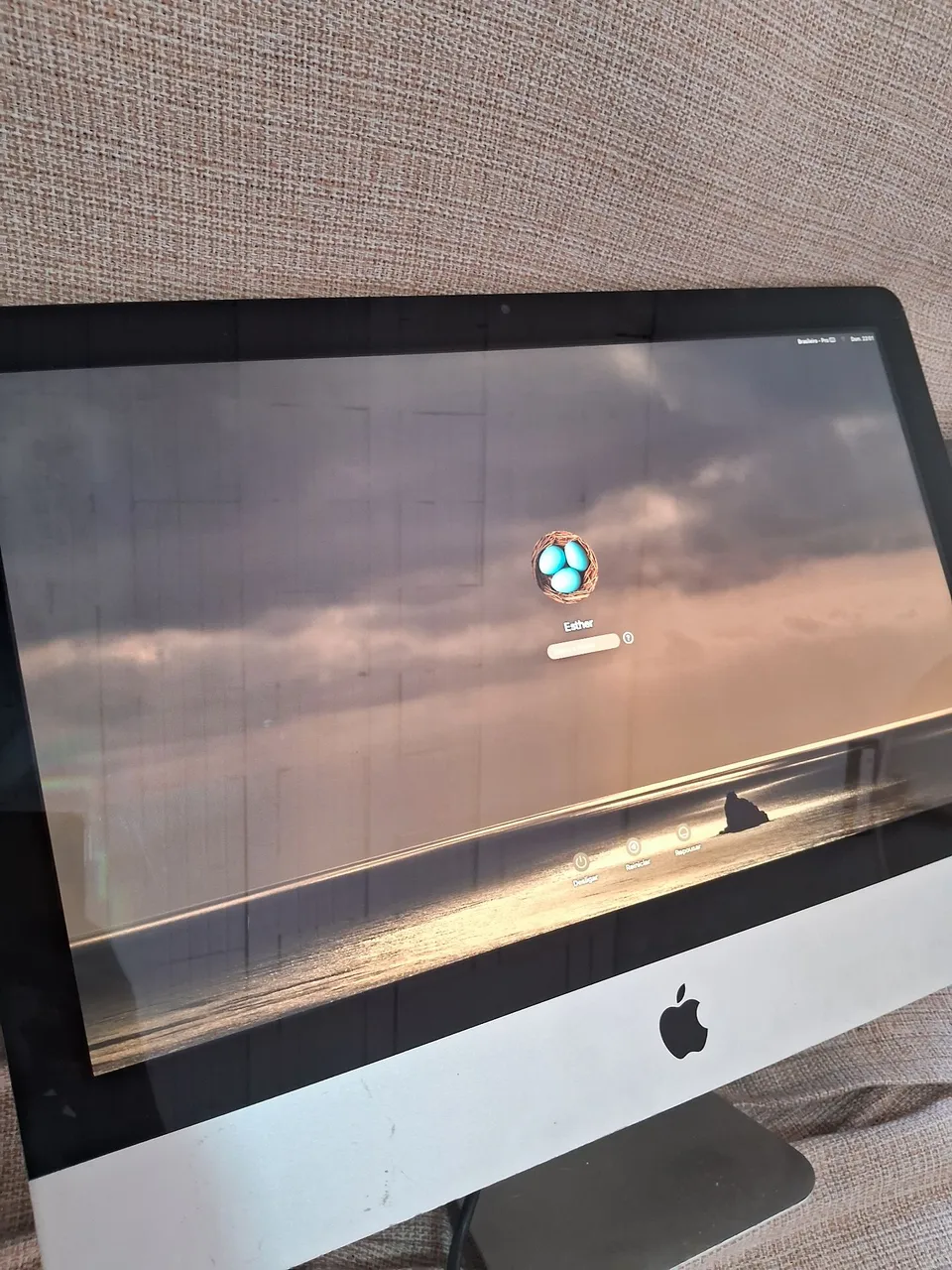 imac 2009