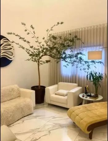 Bambu Mossô