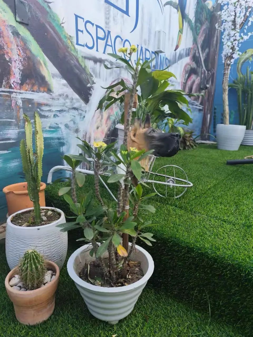 Casa de temporada com piscina  - Foto 4