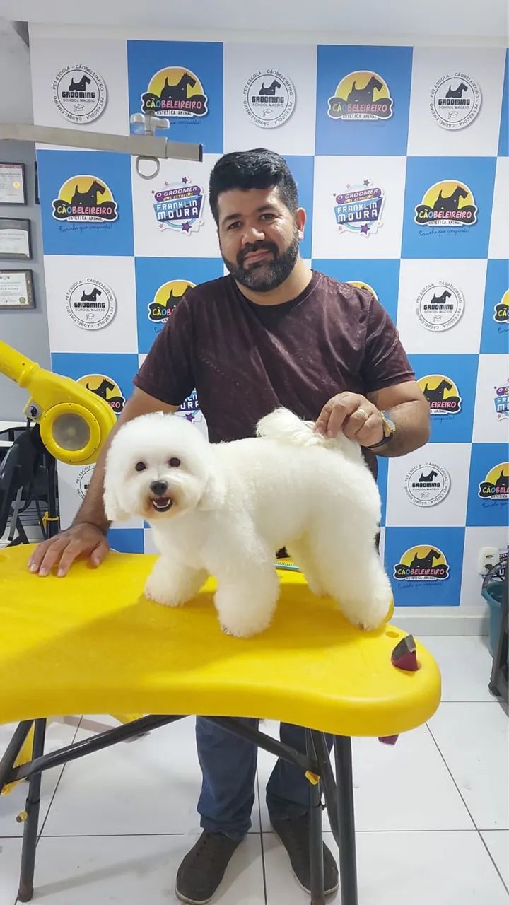 Vendo poodle inglês legítimo branco 
