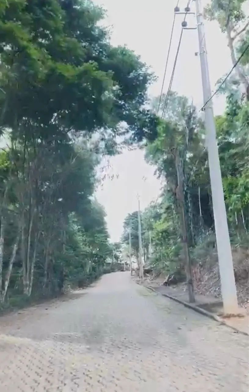 Foto - Juiz de Fora - Cerâmica