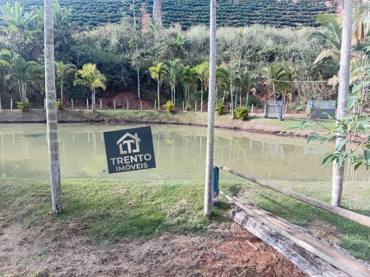 Terreno produtivo - Foto 5