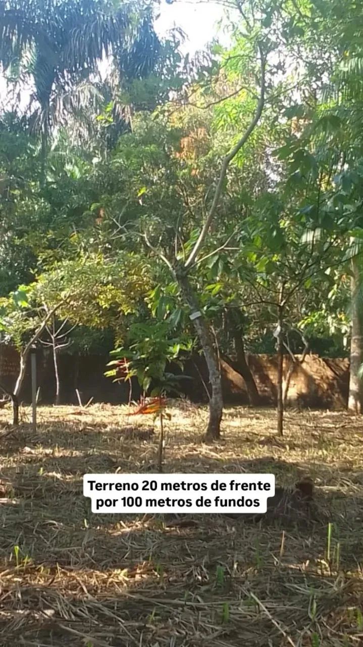 Vendo Casa com terreno - Foto 2