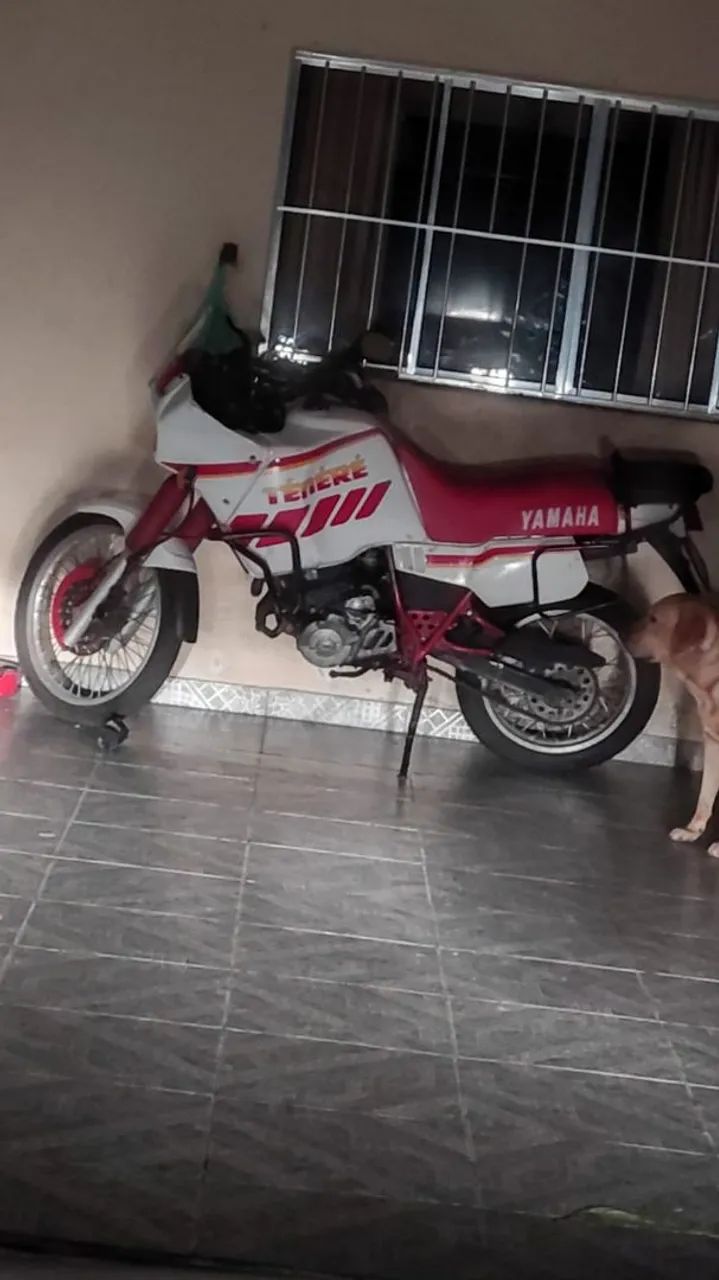Ténéré 600 1991  - Foto 5