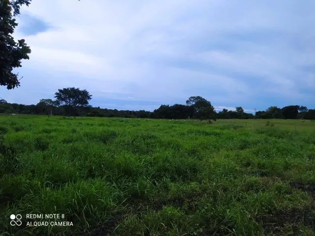 Fazenda 102 hetaris - Foto 4