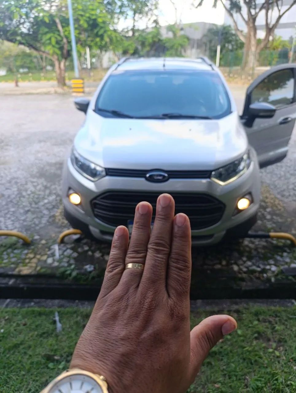 Ford Ecosport 2017