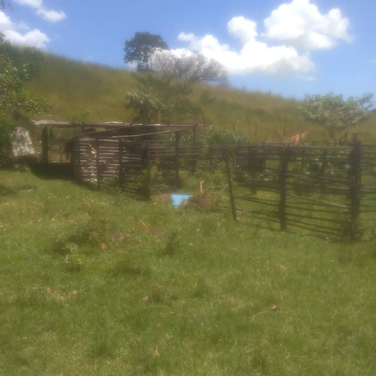 Área para galpão e armazém  - Foto 2