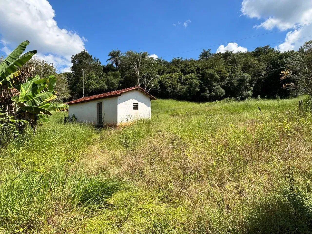 Casas ,riacho ,pastos - Foto 4