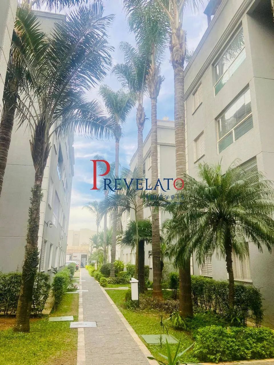 AP-9582 LINDO APARTAMENTO EM SANTO ANDRÉ - Foto 4