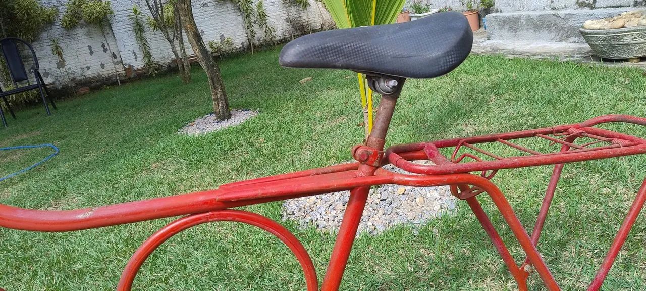 Quadro Monark luvado - Foto 2
