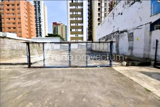 terreno - Cambuí - Campinas - Foto 2