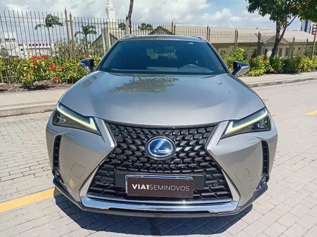 Lexus UX-250h Luxury 2.0 16V Aut.(hybrid), foto 2 de 14