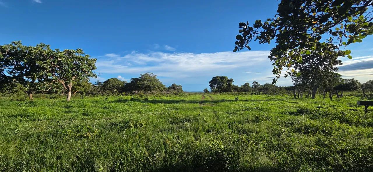 Lindo Sítio no município de Baliza-GO - Foto 4