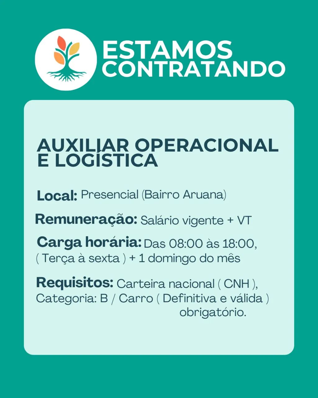 Vaga de emprego CLT para Auxiliar operacional e Logística 