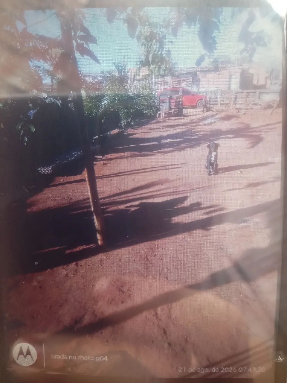 Terreno  - Foto 2
