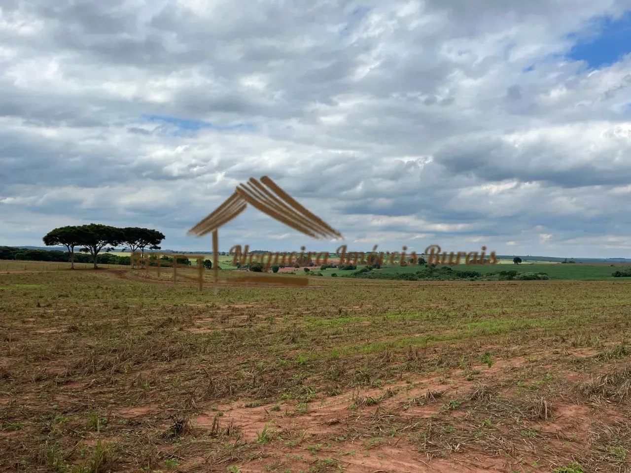 Sitio com 25 alqueires na região de Caporanga-SP - Foto 5