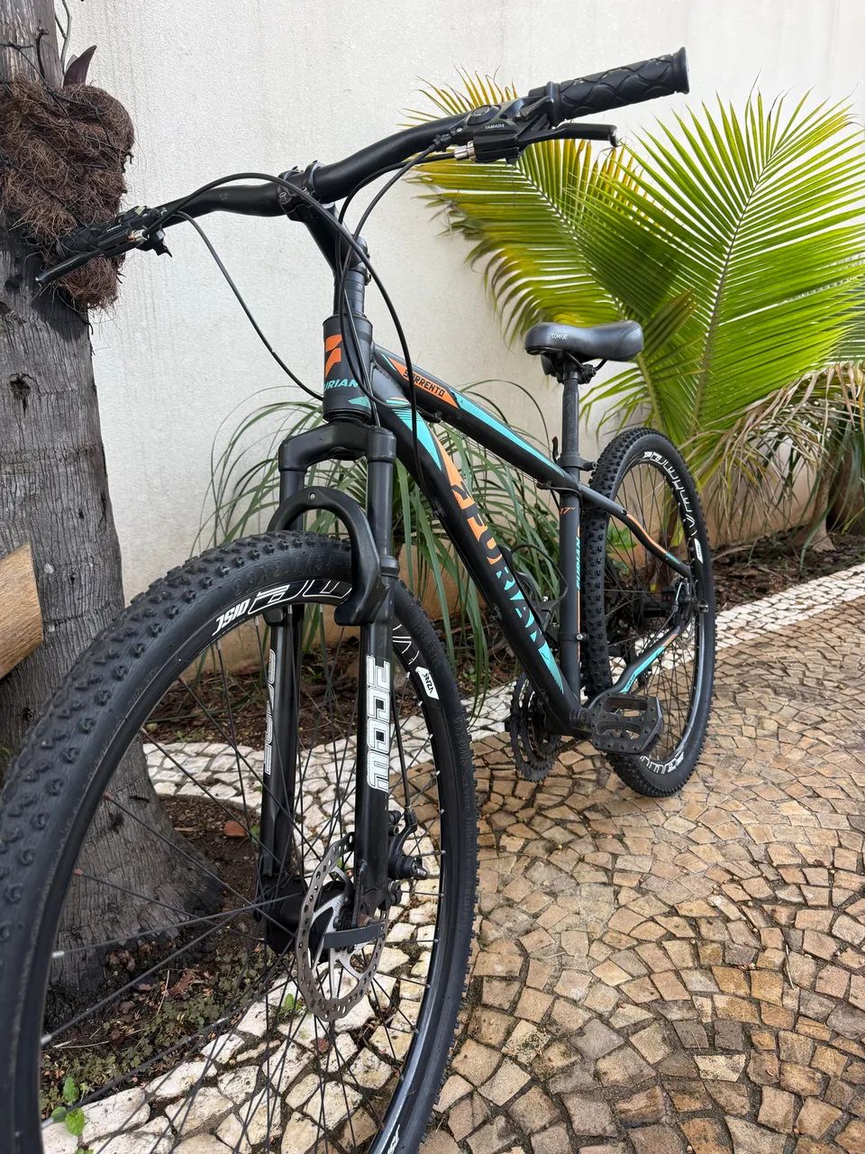 Bicicleta Furian Sorrento Aro 29 - Excelente estado