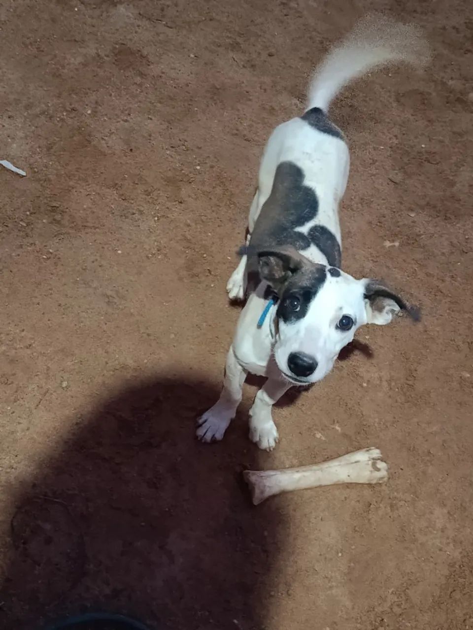 Doação 