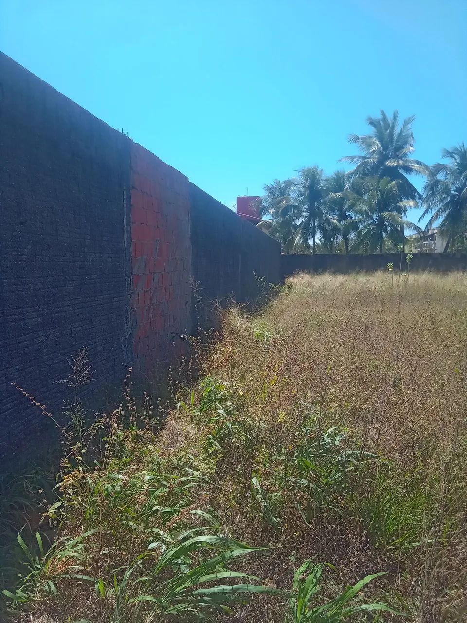 Terreno do beat park - Foto 4