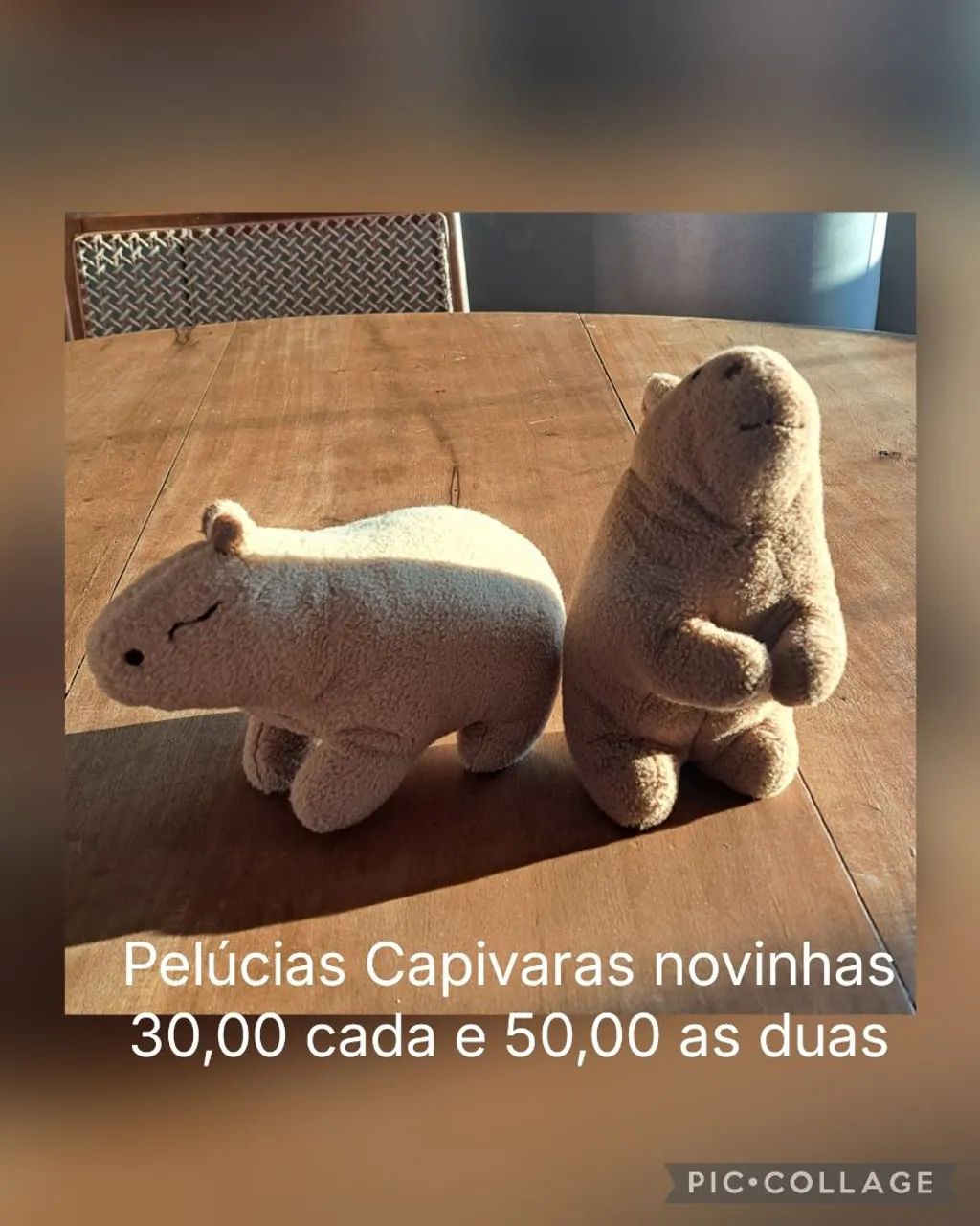 Bichos de Pelúcias - Foto 4