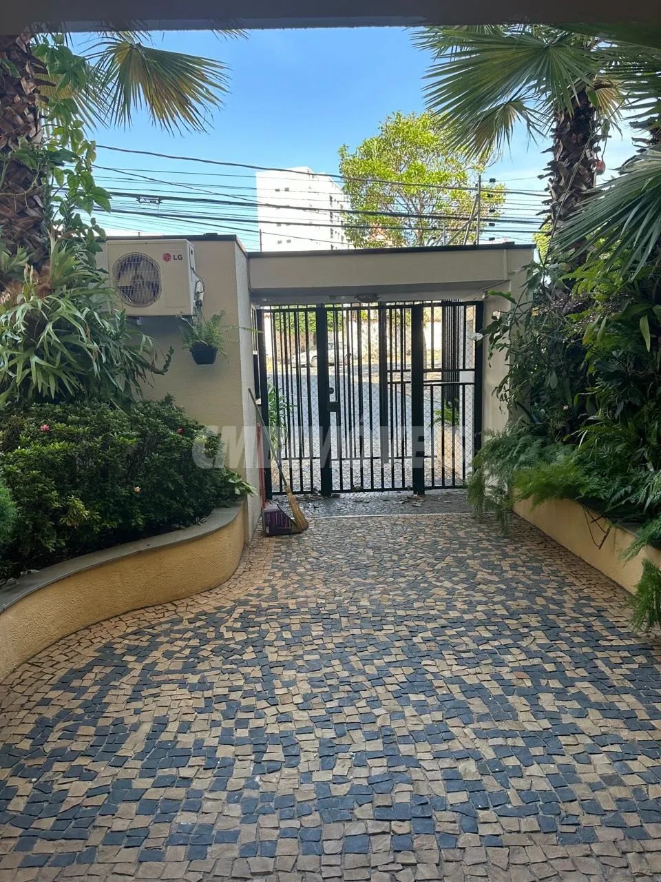 apartamento - Jardim Proença - Campinas - Foto 3