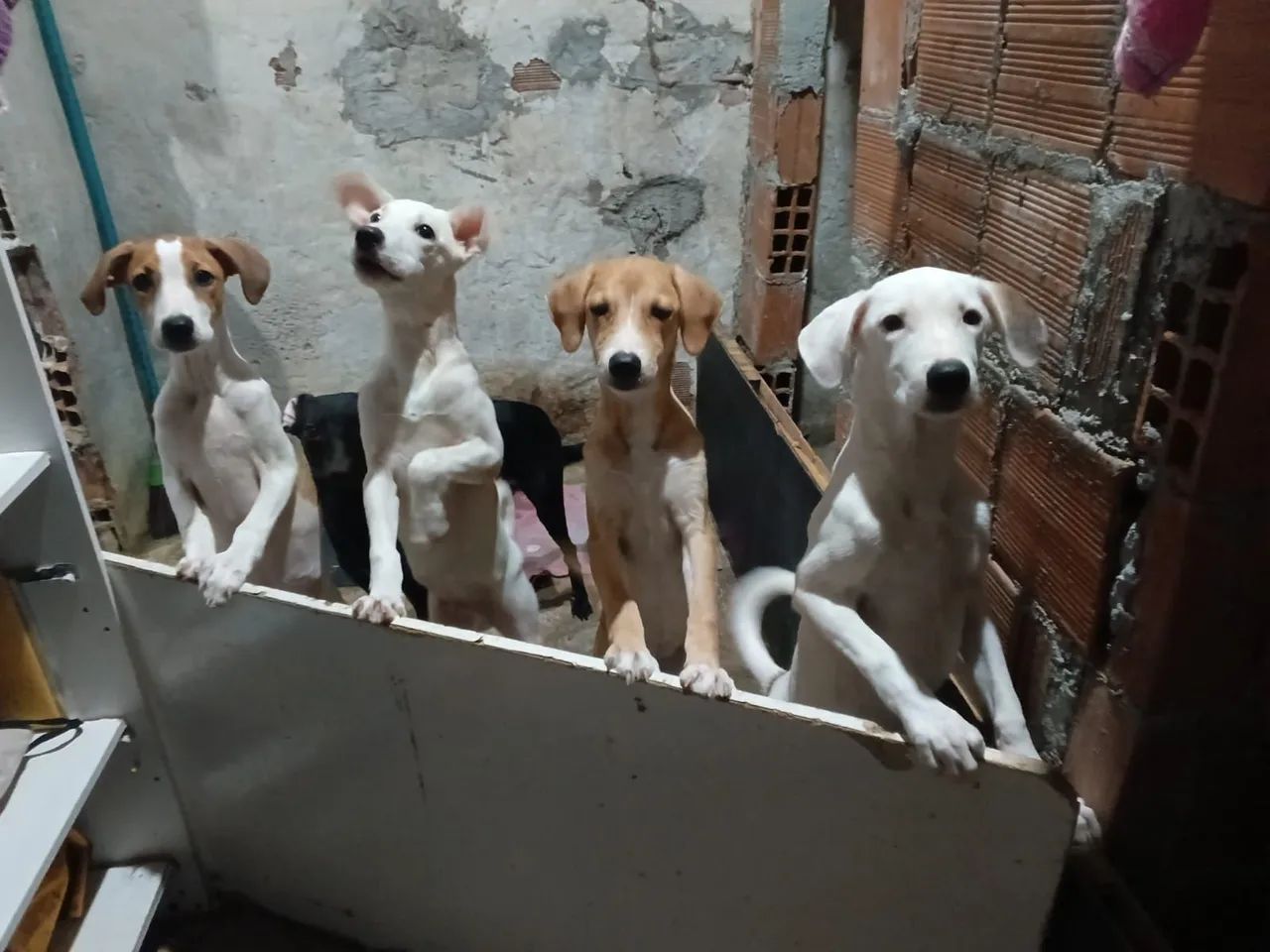 Vaga pra doméstica p/ morar 