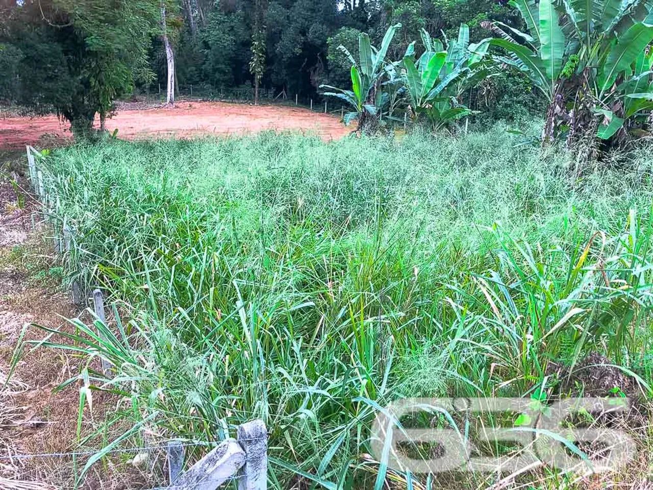Terreno | Joinville | Pirabeiraba - Foto 5