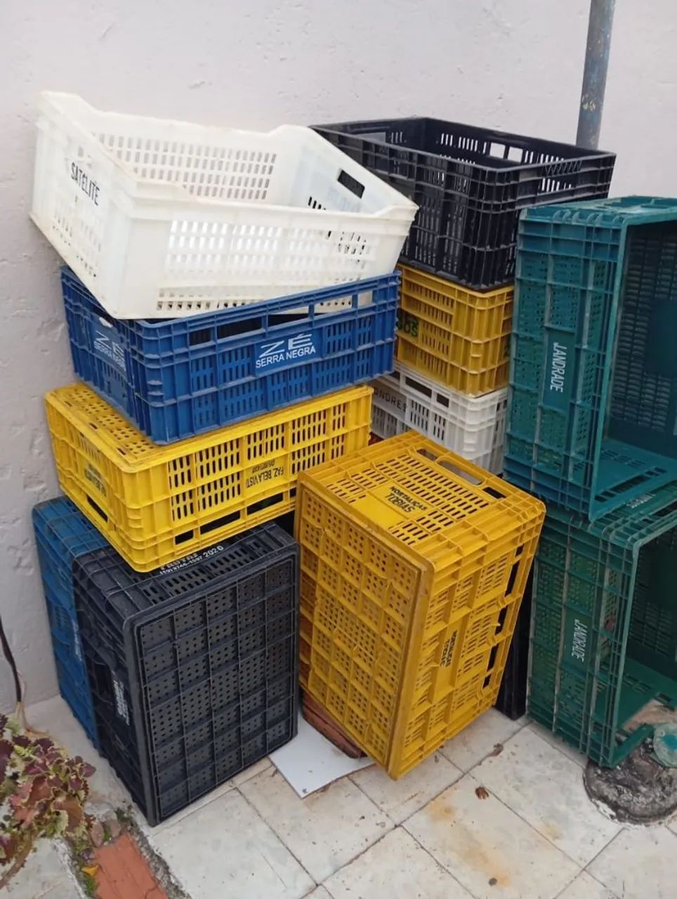 Caixas de hortifruti