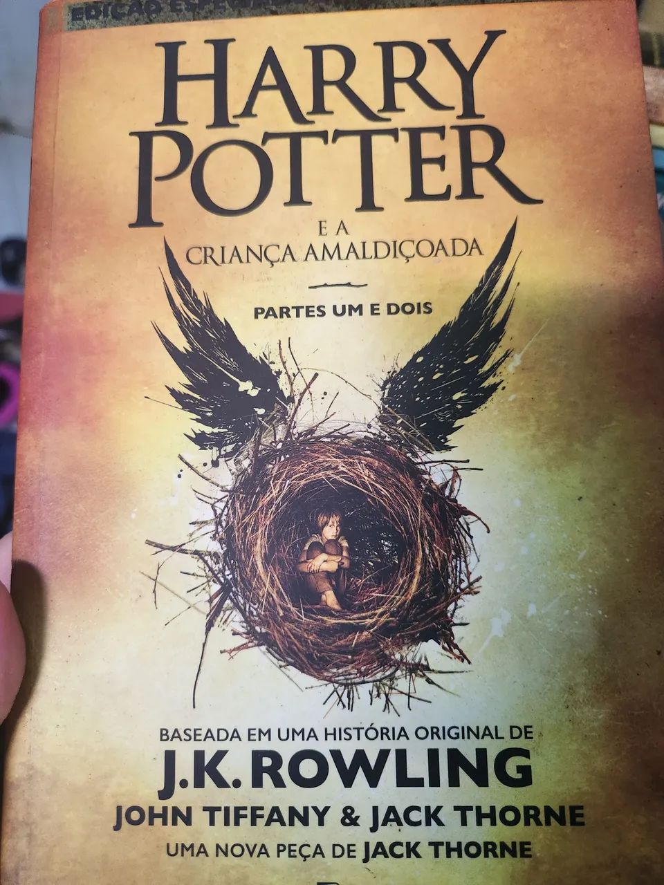 Livro "Criança Amaldiçoada"