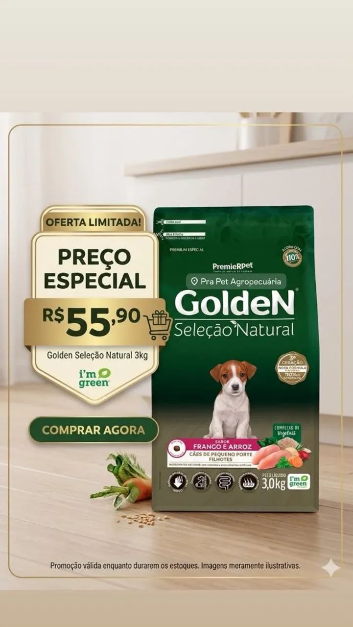 Golden cão  - Foto 2