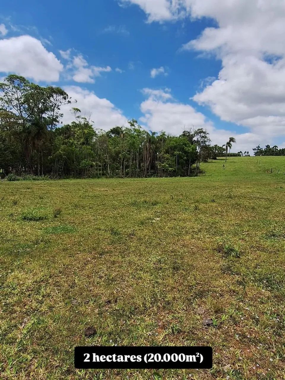 OPORTUNIDADE Terreno Rural com Fácil Acesso à Via Rápida - Foto 3
