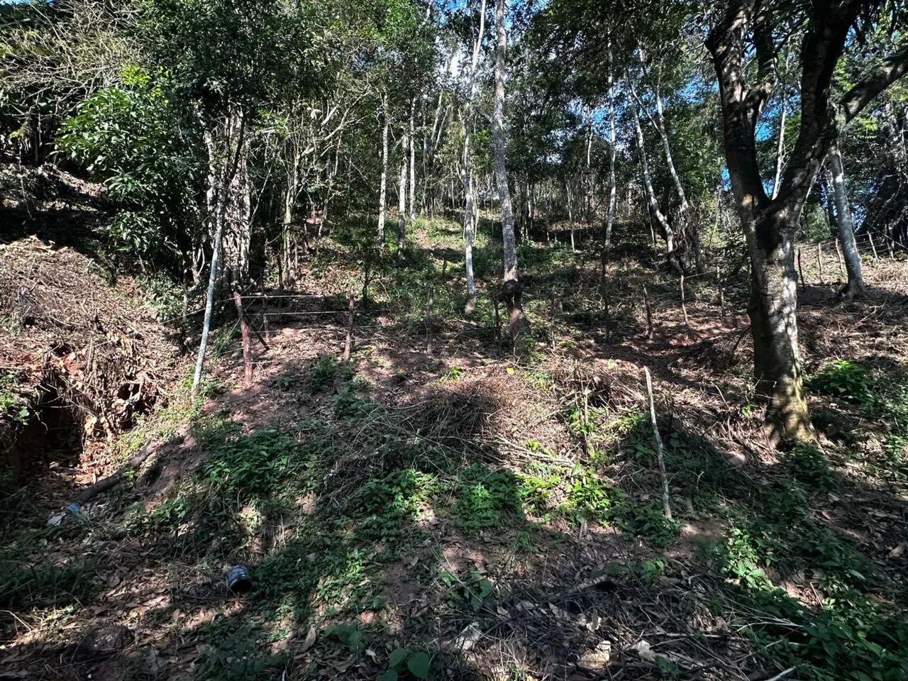 Terreno a venda - Sítio Guritiba, Mulungu-CE - Foto 3
