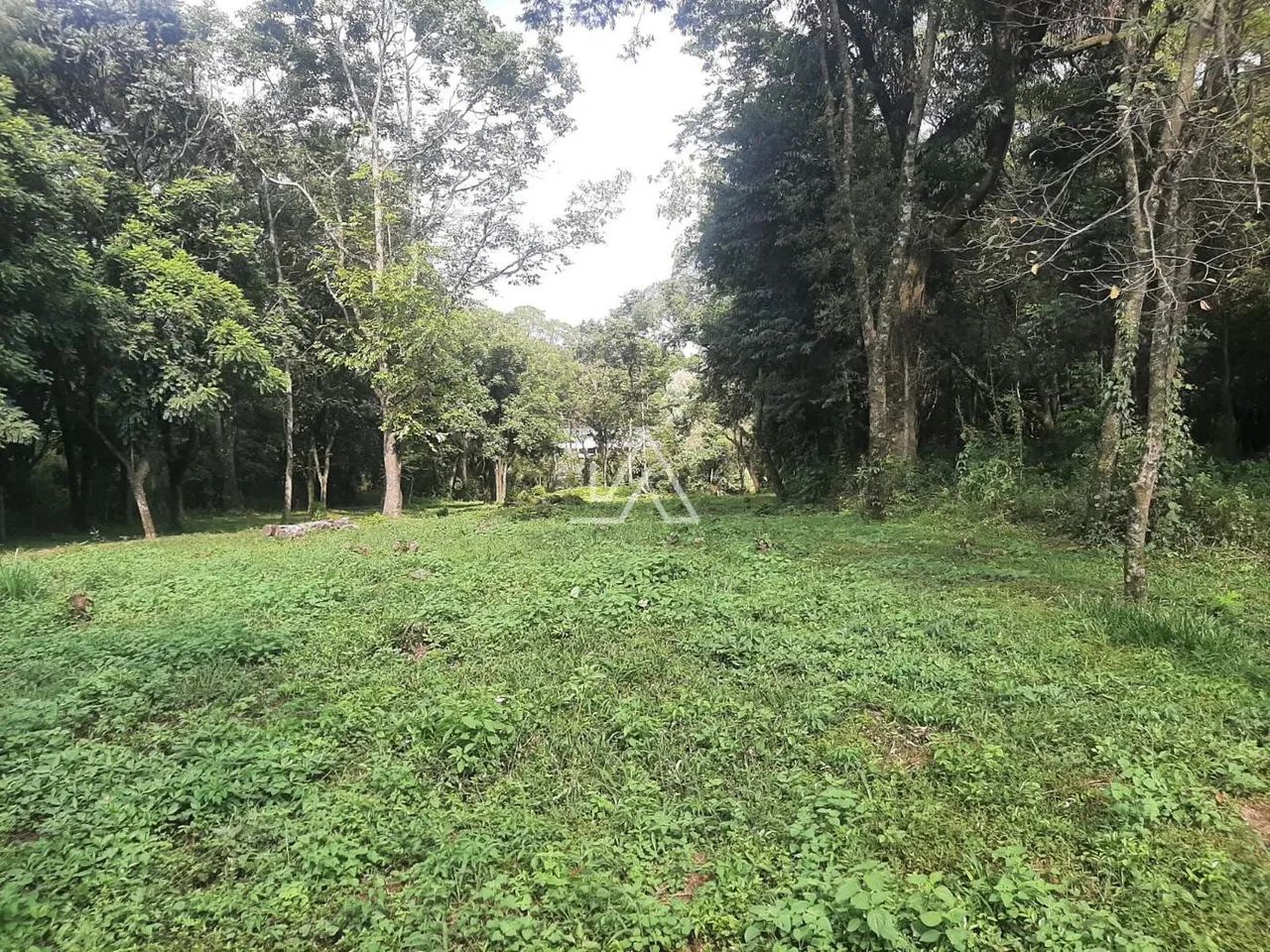 TERRENO NO BOQUEIRÃO - Foto 2