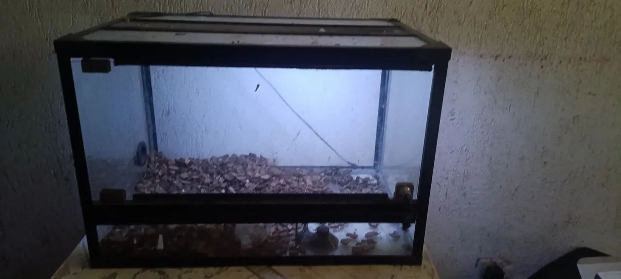 Terrário com led embutido  - Foto 3