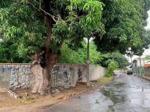 TERRENO para alugar na cidade de FORTALEZA-CE - Foto 5