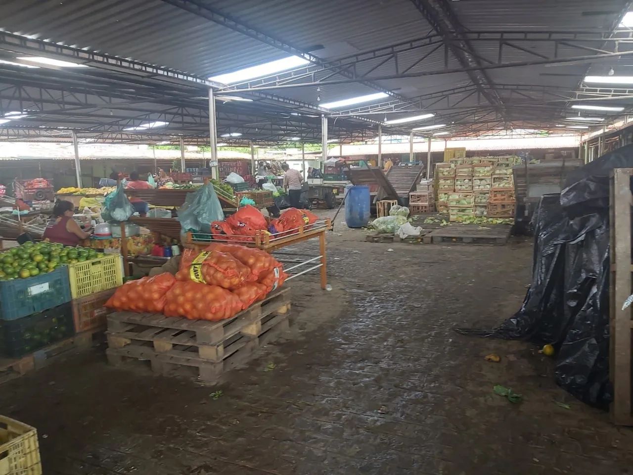 ALUGA-SE BOX NO MERCADÃO DO PRODUTOR. - Foto 2