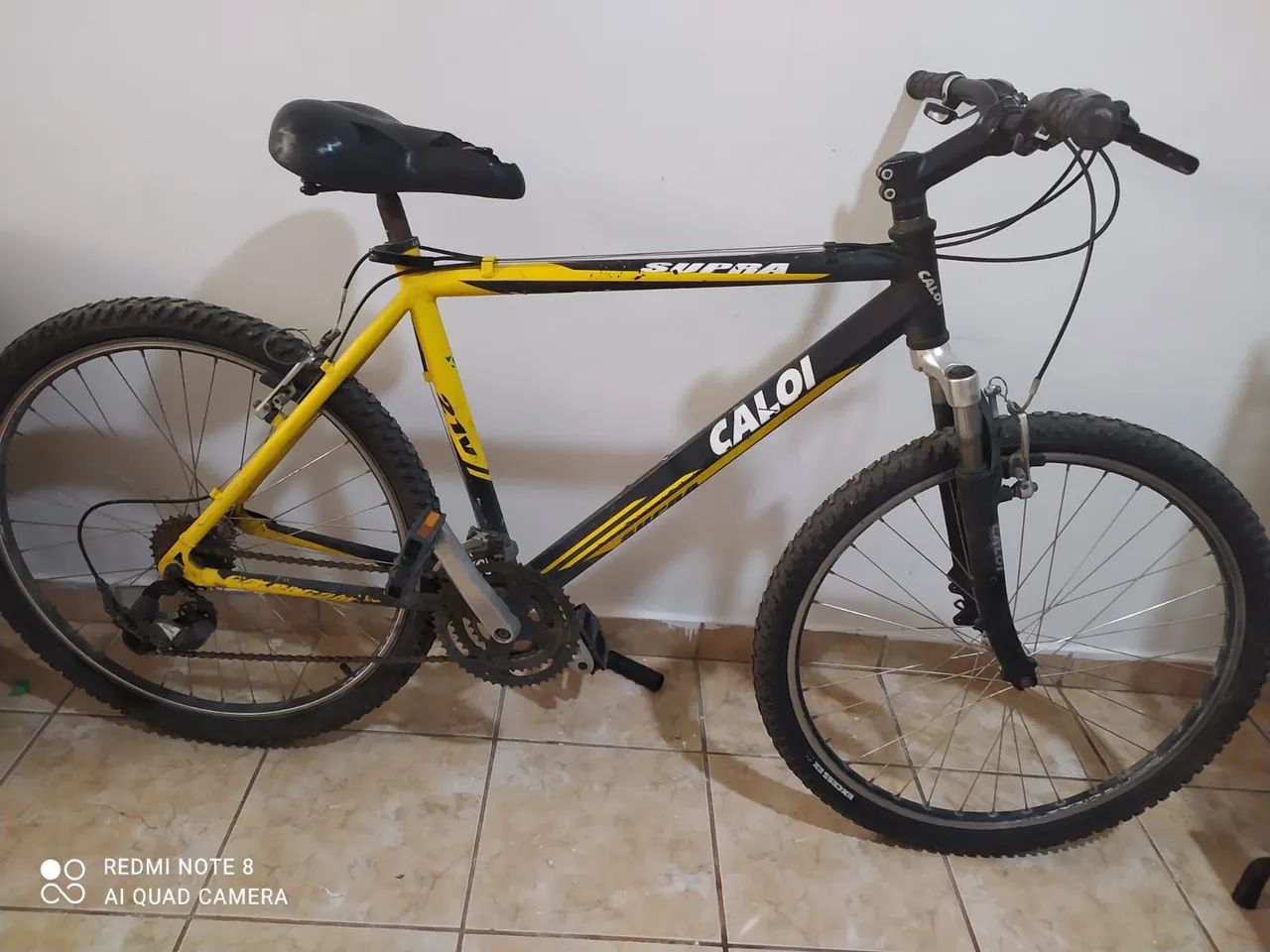 Bicicleta 
