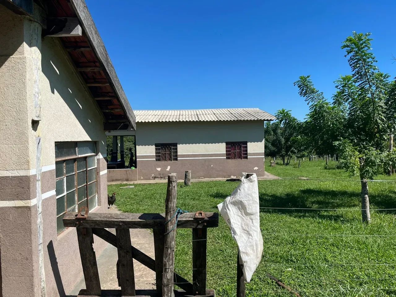 Fazenda 475 HA- Anastácio- MS - Cria, Re-cria e Engorda - Foto 2
