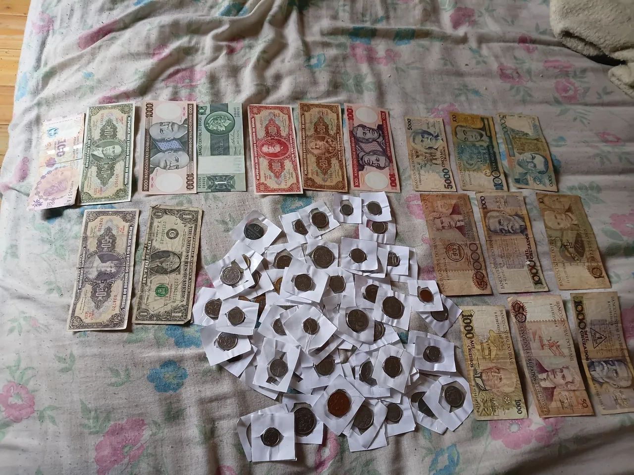 Cedular para colesionador