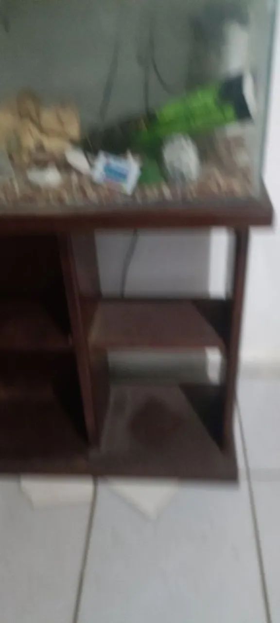 Aquário - Foto 4